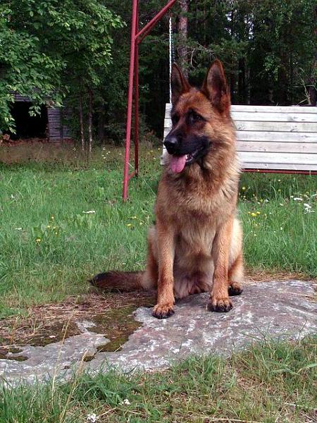 2005-07-25.jpg
