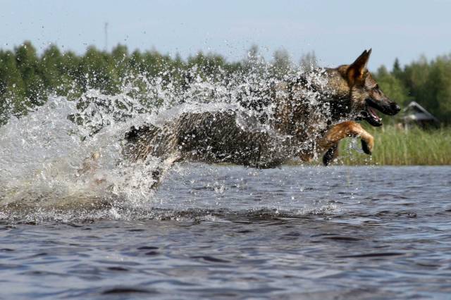 060814_makki_55.jpg