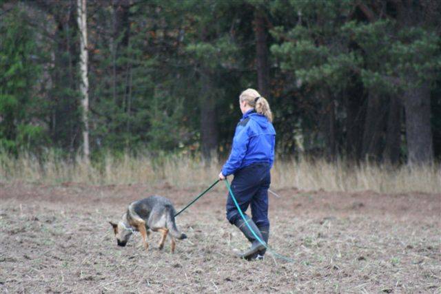 061013_Makkijalella2.JPG