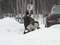 060128_autolla
