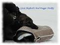 060128_makkiparas