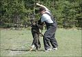 060520_treenitkevat06-7
