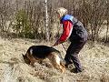 Karojaljella