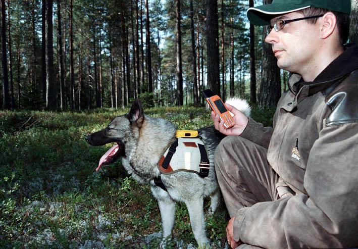 Missa-GPS-kuvissa.jpg - Valokuvaaja otti kuvan Missasta GPS tutkamainokseen. Isäntä pääsi siinä sivussa kuvaan.