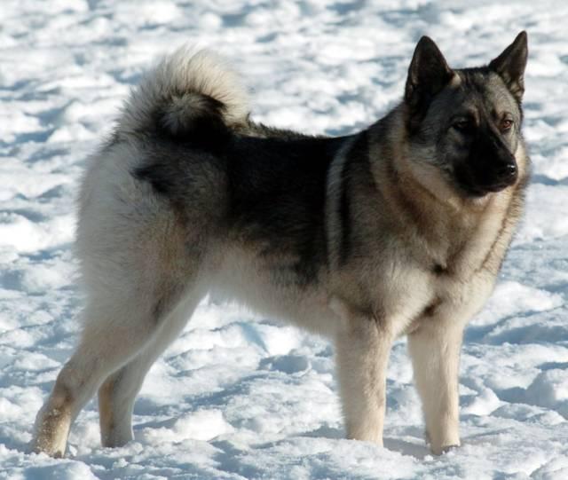 10kkJosefiina_Oona-2.jpg - Ja toinen talvikuva 10 kk iässä