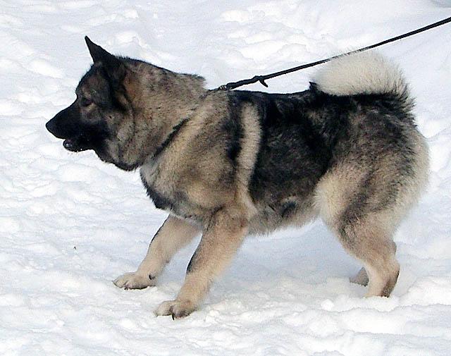 Talvikuva_3.jpg