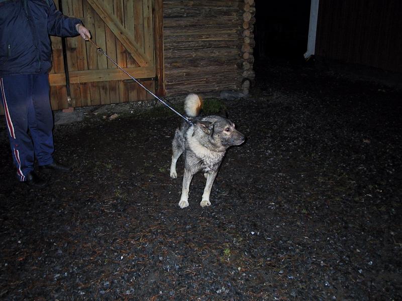 107-0778_IMG.JPG