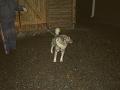 107-0778_IMG