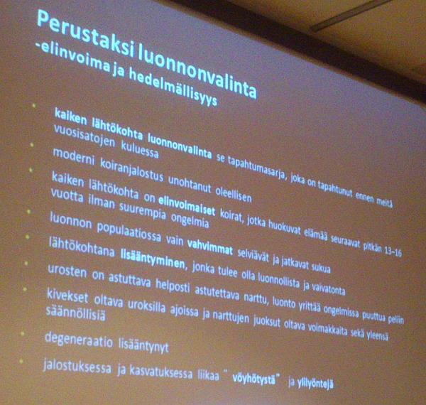 Perustaksi luonnonvalinta