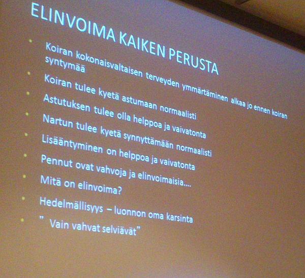 Elinvoima kaiken perusta