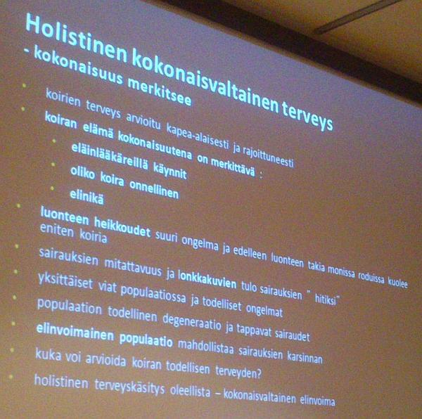 Holistinen kokonaisvaltainen terveys